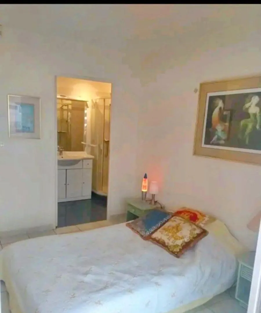 Two Rooms Terrace Cannes Apartment